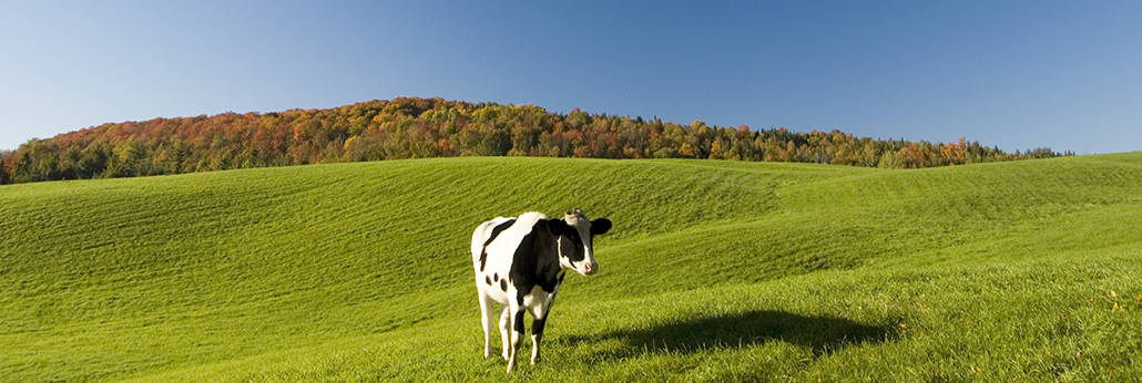 167722349781486100 bevictorΰµÂ¹ÙÍø-ΤµÂ¹Ù·½ÍøÕ¾