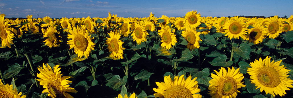 174108529357279400 bevictorΰµÂ¹ÙÍø-ΤµÂ¹Ù·½ÍøÕ¾